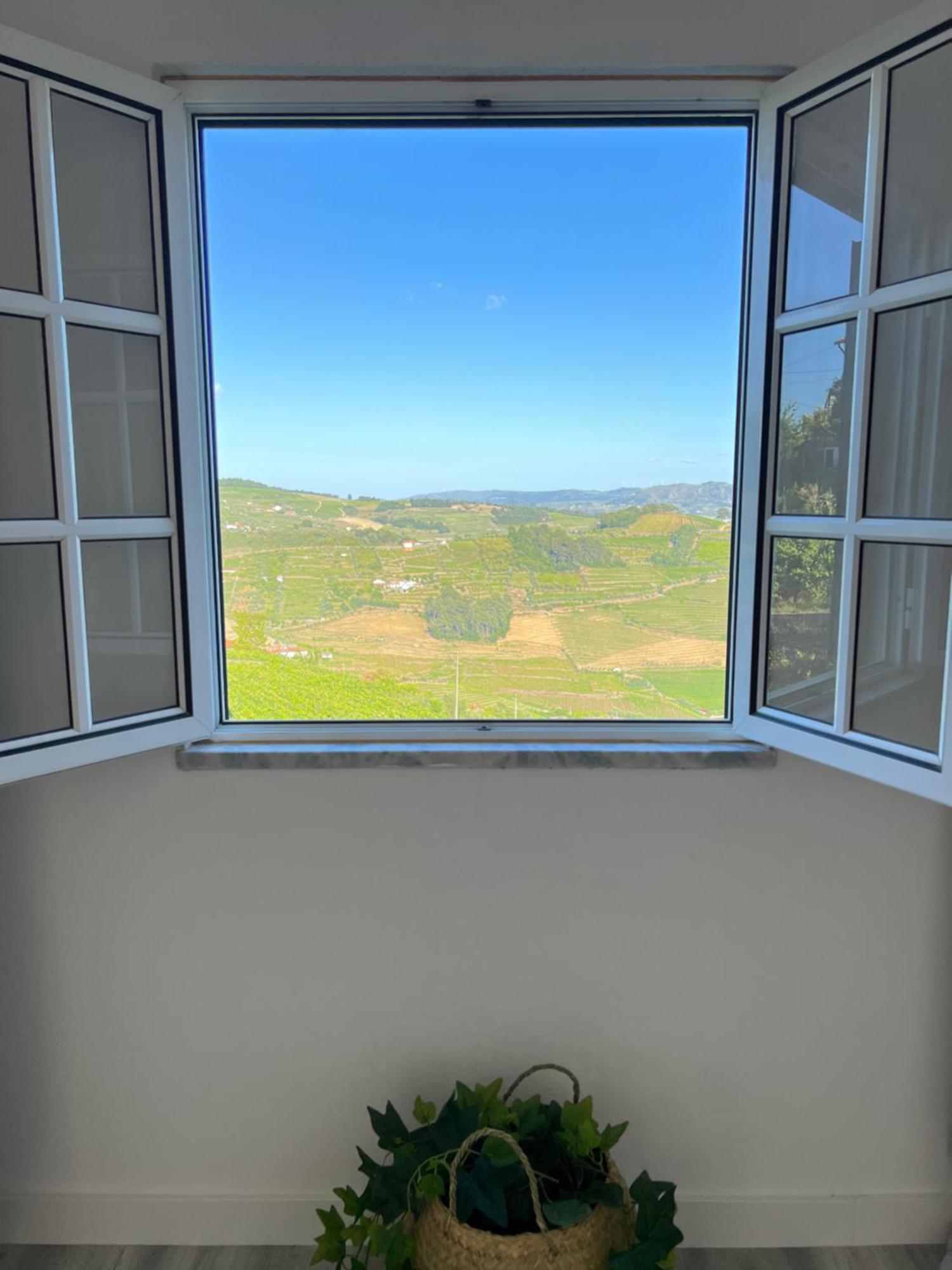 Villa Samaritana - Casa Da Vinha Vila Marim Екстериор снимка